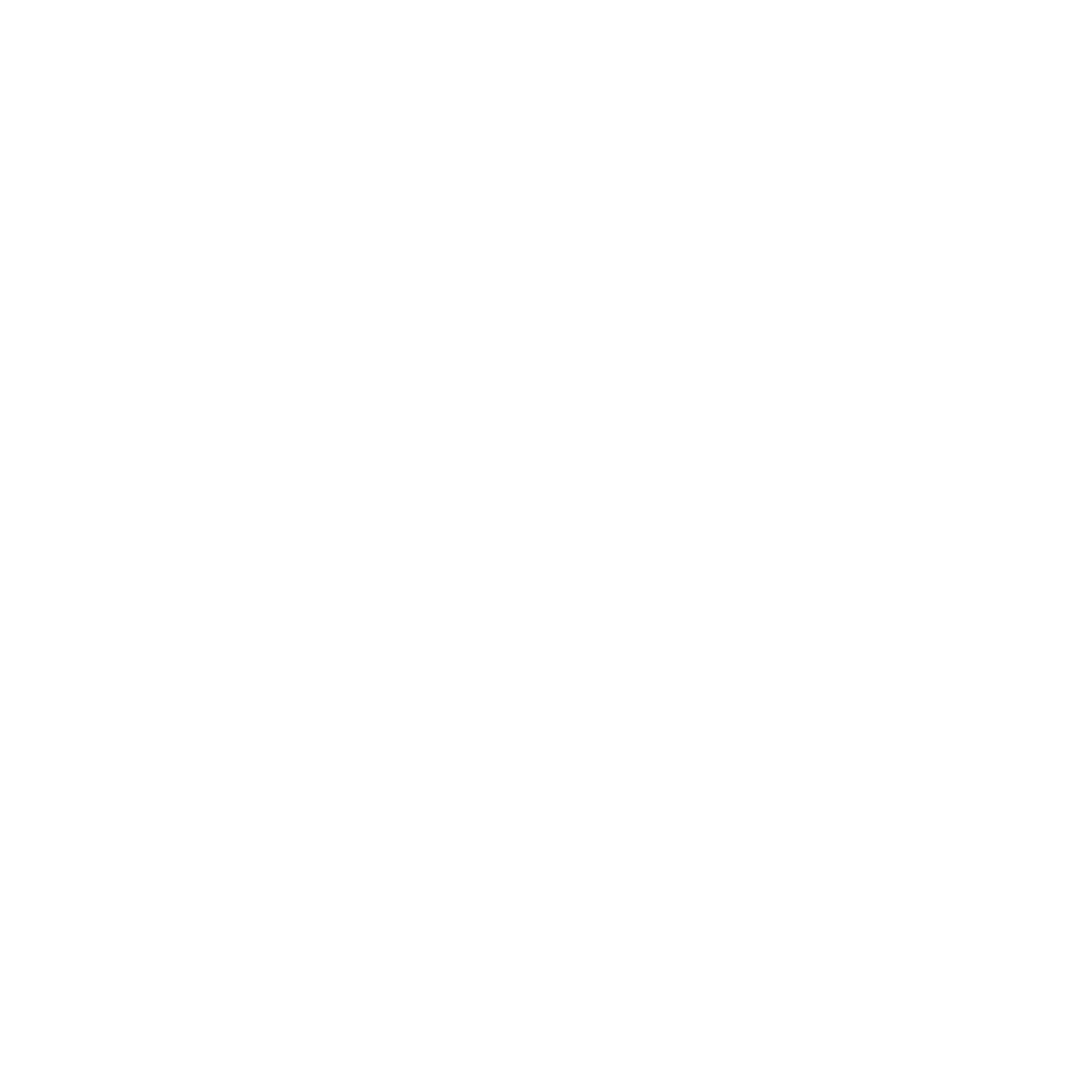 The Puerto Varas